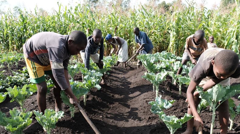 Sarah Koch, executive director of Development in Gardening. CARY NORTON For the shot of the folks in the field: A family in western Kenya tends their garden of local kale with techniques learned from Development in Gardening. LISA KEISLER