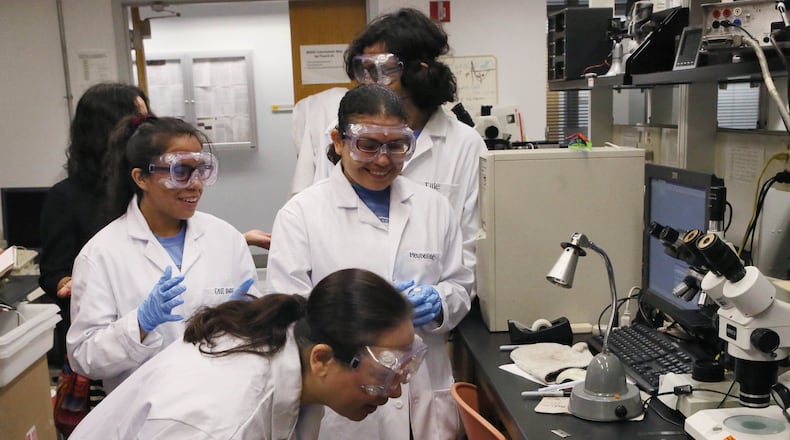 There were smiles all around as one of the superconductive wafers the students made in a lab at Georgia Tech is successfully tested by cooling it with liquid nitrogen. High school students attend a camp in science, technology, math and engineering courses at Georgia Tech. As Georgia’s Hispanic population increases, many educators are trying to get more of those students in science, technology, math and engineering courses. Georgia Tech is aggressively recruiting Hispanic students. The percentage of Hispanic students there has nearly doubled, from 3.5 percent in 2013, to an expected 6.5 percent in 2014. Gwinnett County schools is working with Tech on a two-week summer STEM camp.