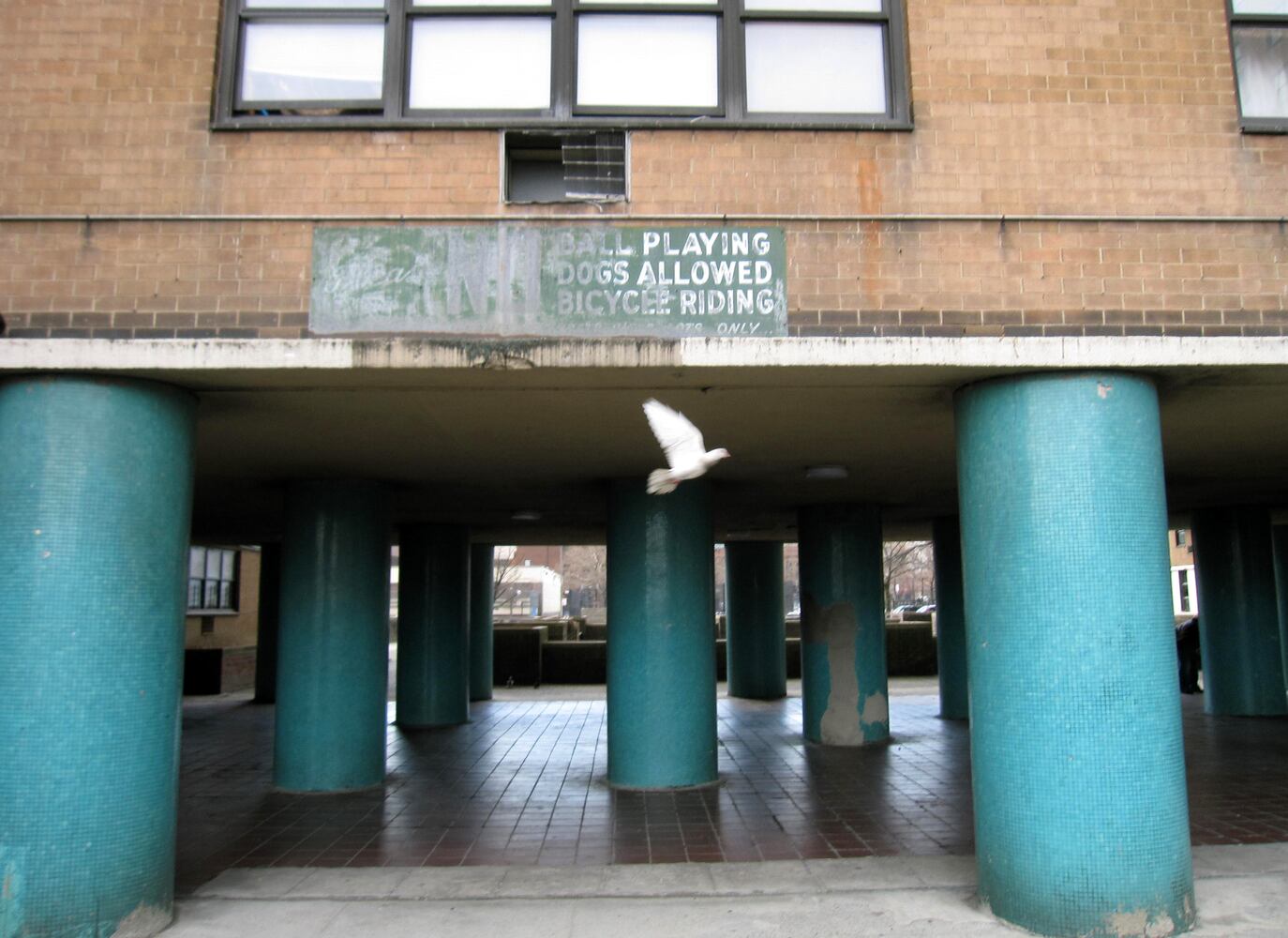 Photos of his homes and home field