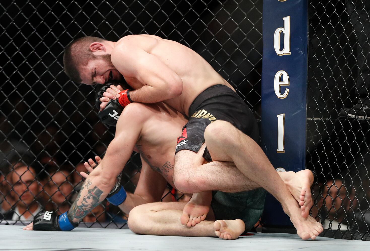 Photos: Brawl at UFC 229 after Nurmagomedov chokes out McGregor