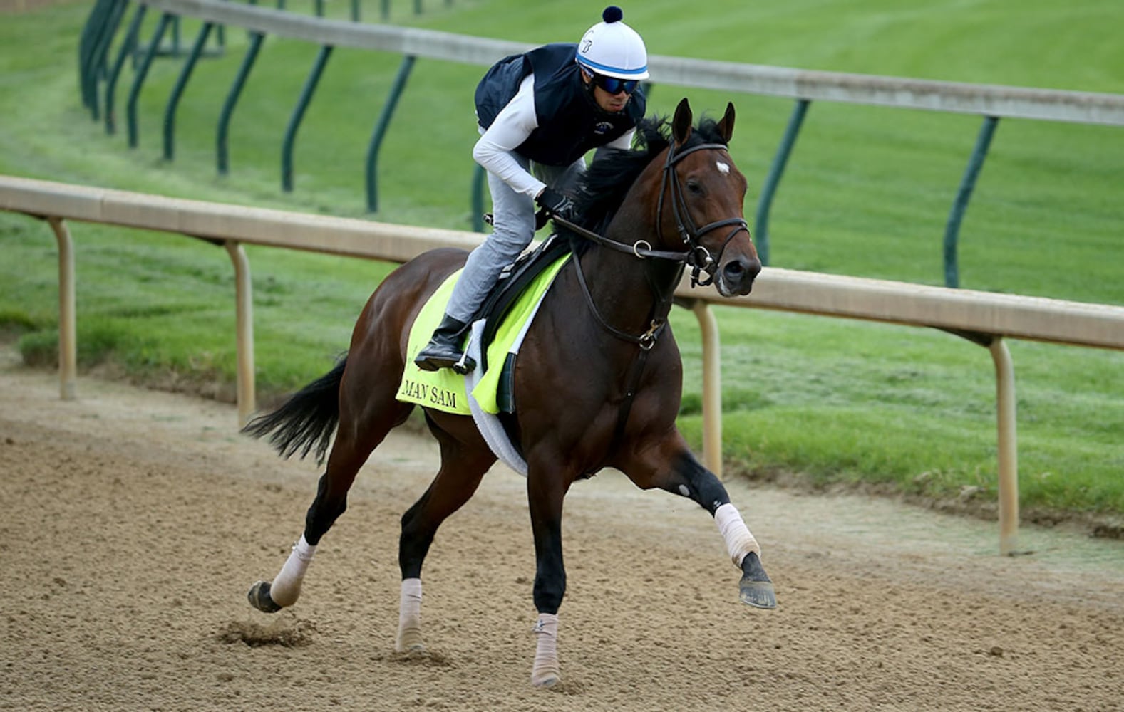 2016 Kentucky Derby field