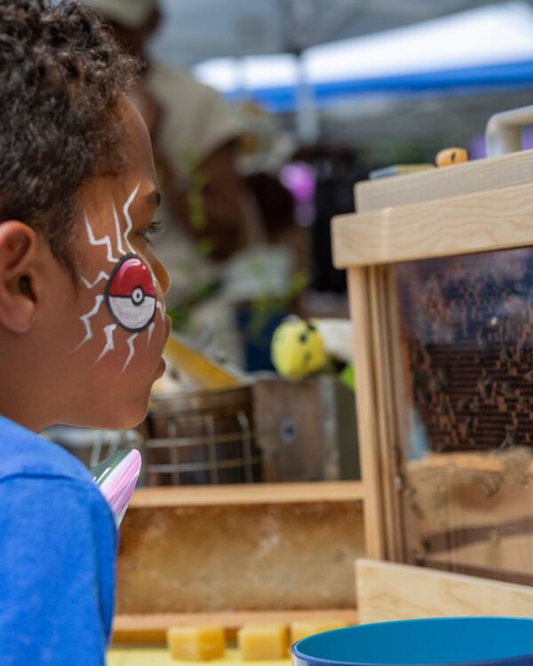 Harmony Park in Decatur will host the Pollinator Week Festival on Saturday, June 27. (Courtesy of Beecatur)