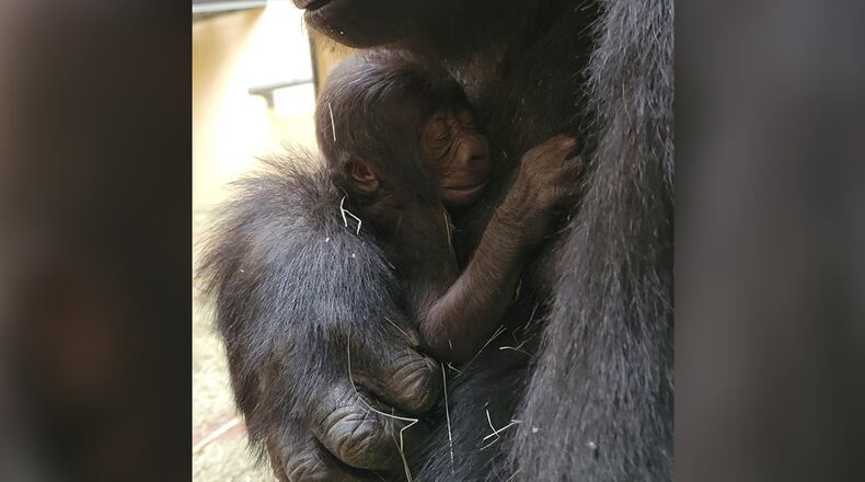 Mother Kambera holds her newborn infant, born on Nov. 13. The infant was sadly found deceased on Nov. 18.