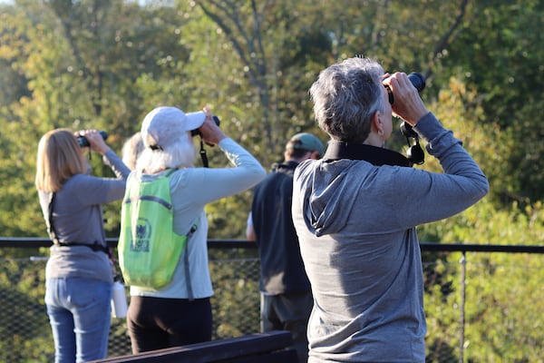 While birdwatching or birding typically requires zero equipment, a good pair of binoculars can help. (Courtesy of Birds Georgia)