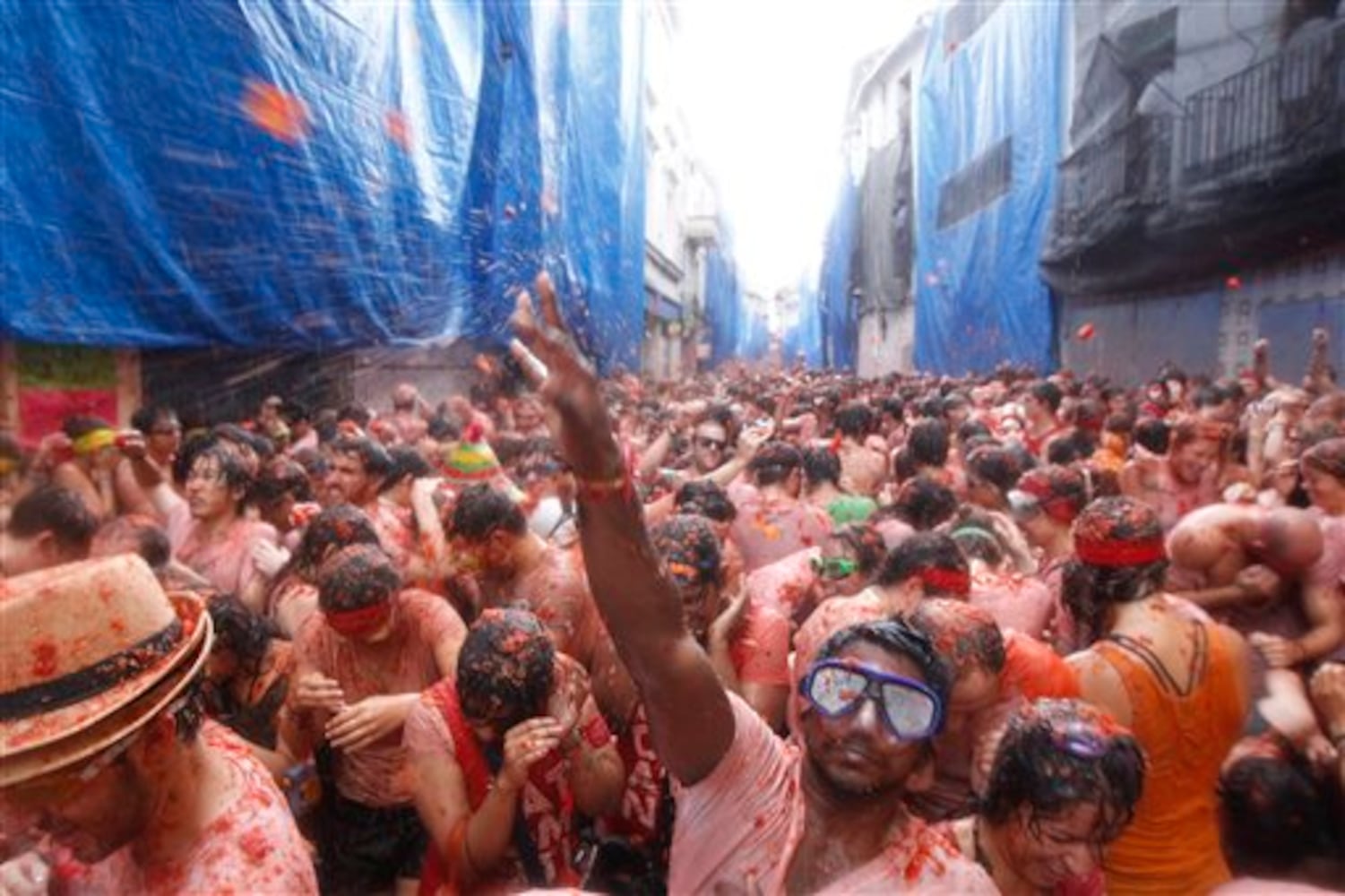 Tomatina 2013