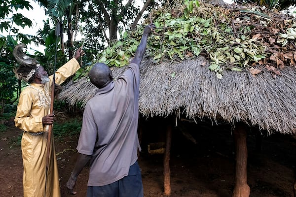 Seer Atukung Tafala, left, picks traditional herbs from the roof of his igloo-like shrine in Kampala, Uganda Saturday, June 21, 2025.(AP Photo/Hajarah Nalwadda)