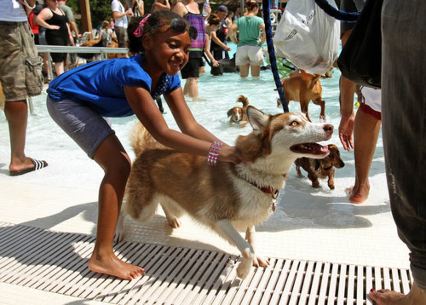 Atlanta's Splish Splash Doggie Bash