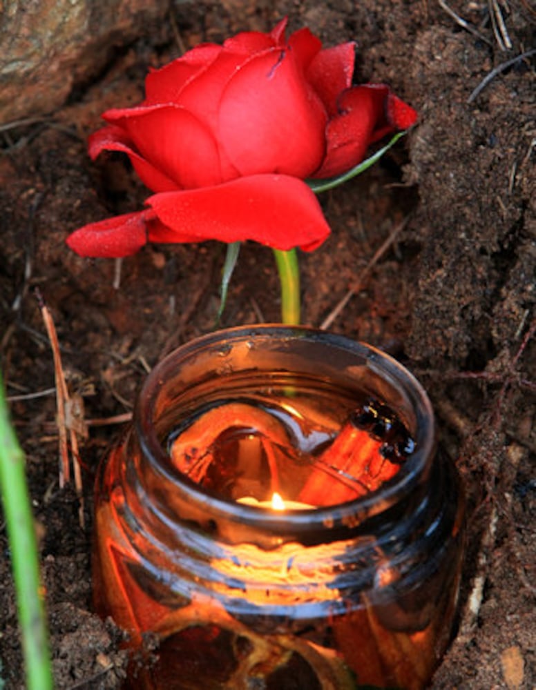 Roadside memorial for Garrett Reed, 16