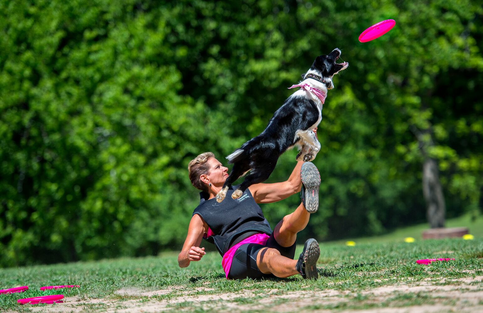 Bark in the Park 2015