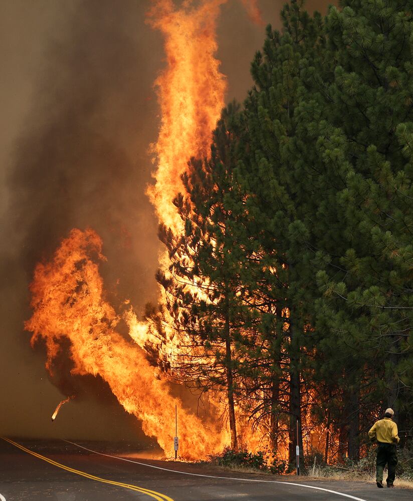 IMAGES: Dramatic 24 hours on Rim Fire line