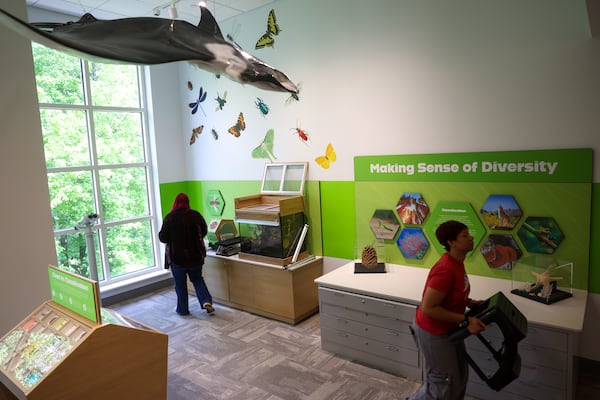 The Orkin Discovery Zone took over and expanded one of the Fernbank’s temporary exhibit spaces, part of which was previously inaccessible to the public. (Arvin Temkar/AJC)