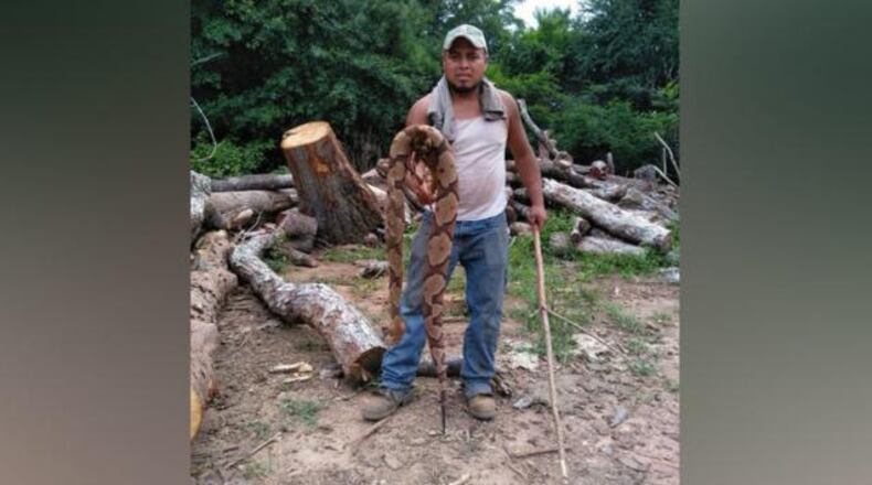 A photo of the dead copperhead in Cherokee County, Georgia.
