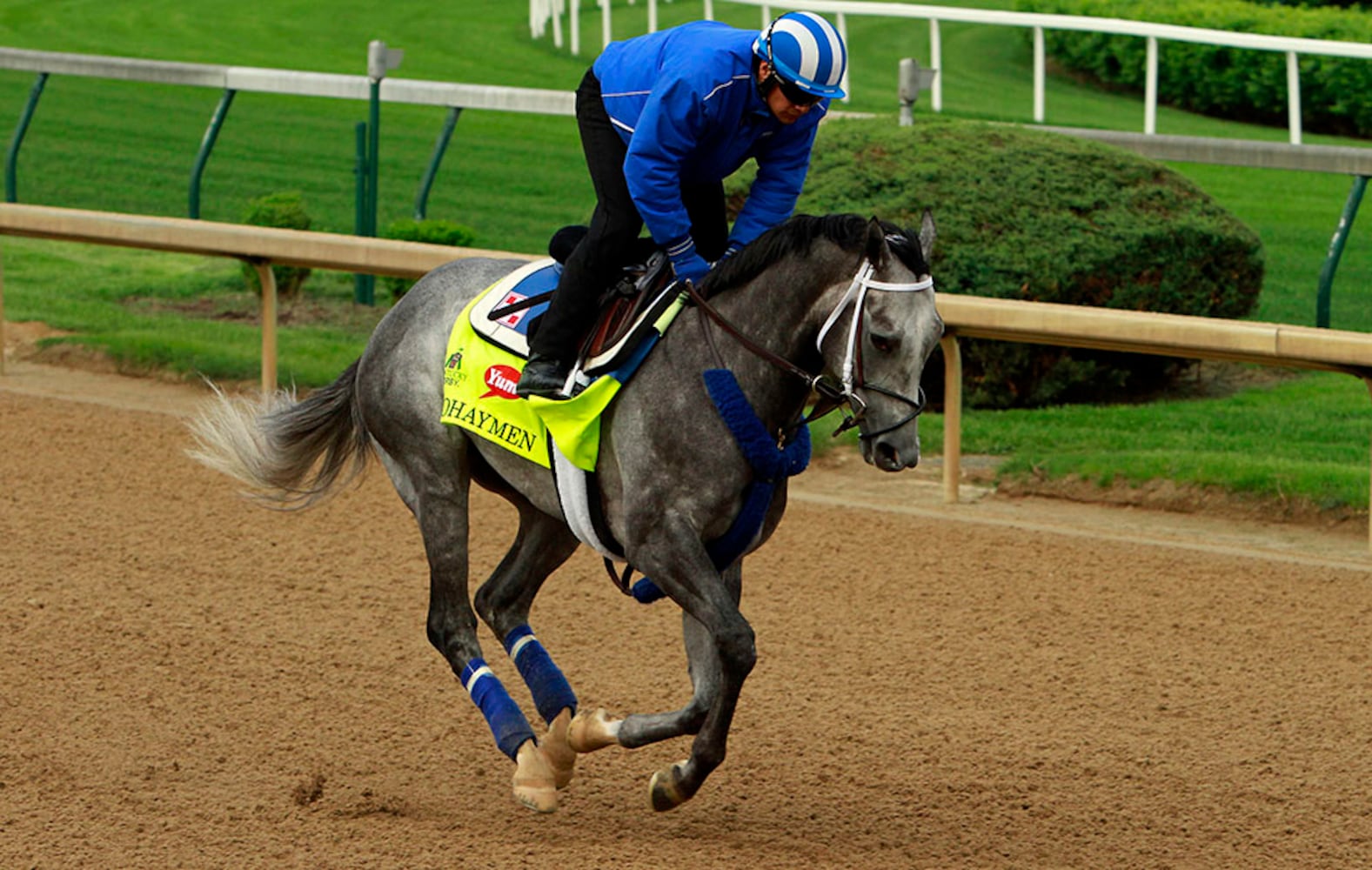2016 Kentucky Derby field