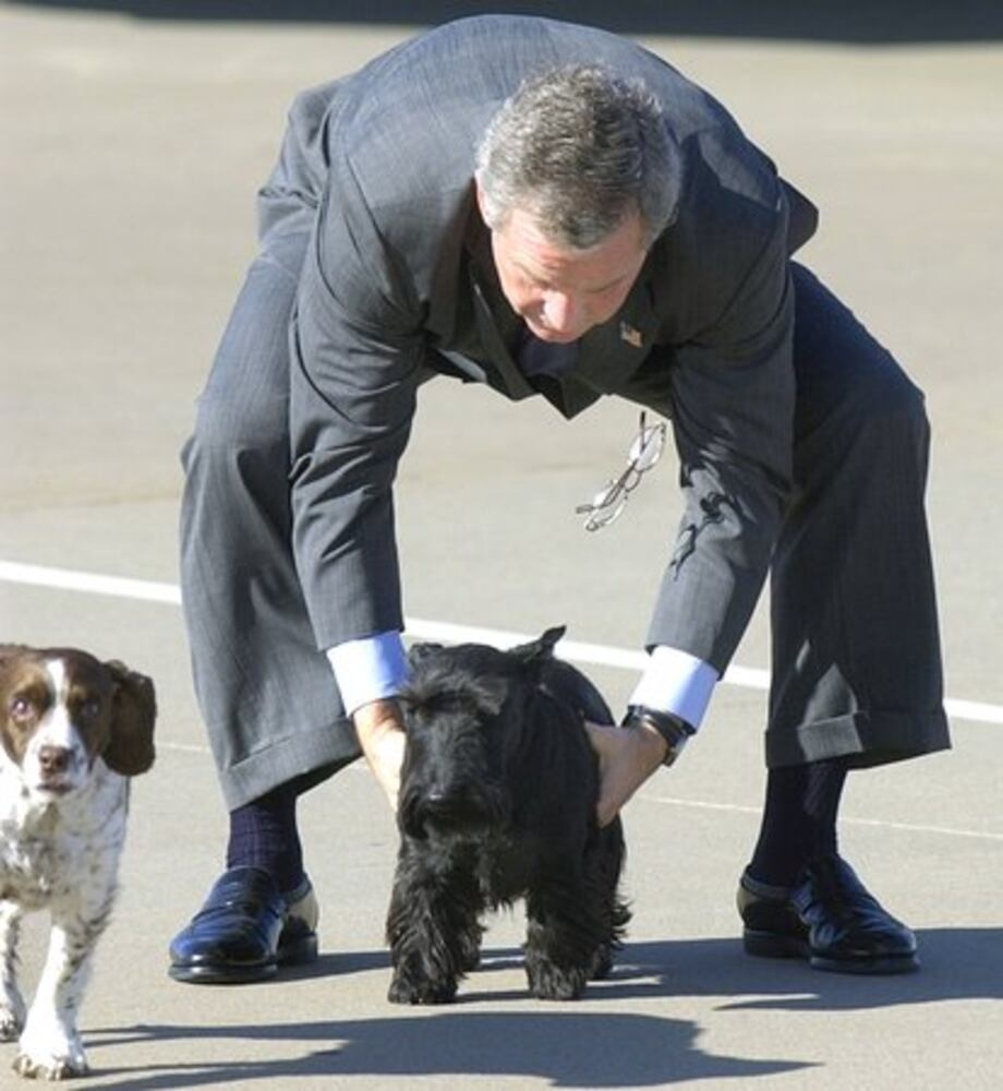 White House dogs, cats and more through the years.