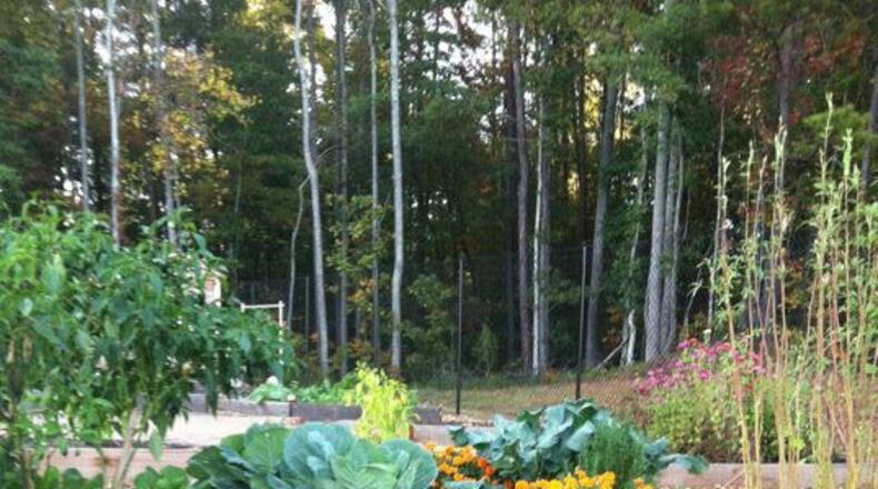 Smyrna’s Community Garden has been named the Best Community Garden for 2018 by My Home Improvement Magazine. (Courtesy of Smyrna)