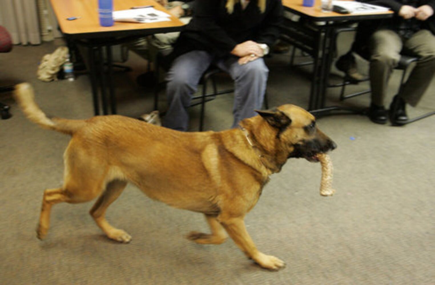 Sandy Springs citizens learn how cops think