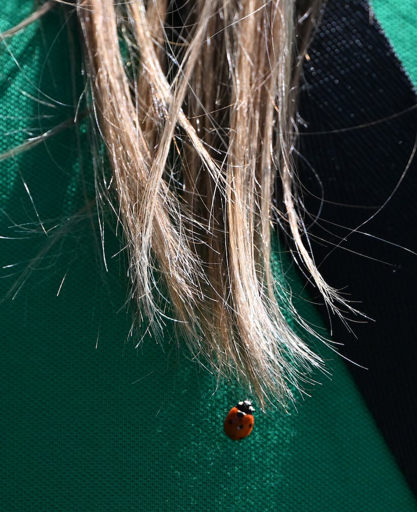 aajc 041326 masters final round Sunday