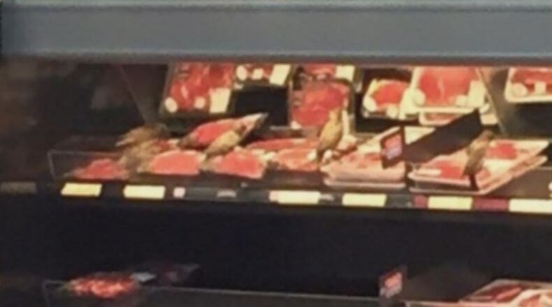 Scott Conway - Western Mass News