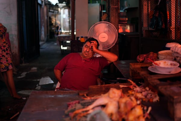 FILE - A vendor sleeps near a fan on a hot afternoon at his shop at Market 4 in Asuncion, Paraguay, Jan. 17, 2025. (AP Photo/Jorge Saenz, File)