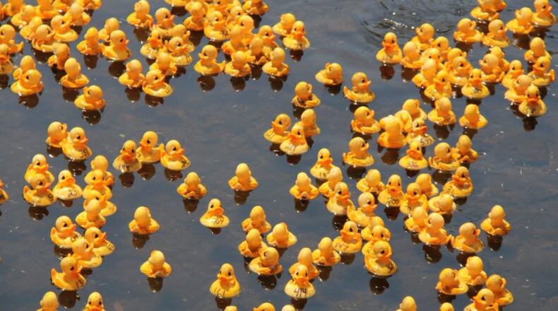 Keep Roswell Beautiful will send hundreds of rubber ducks down Big Creek Oct. 15 in support of environmental stewardship. COURTESY KEEP ROSWELL BEAUTIFUL