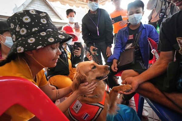 K9 named Lek works as an emotional support with relatives of workers of a high-rise building under construction that collapsed after Friday's earthquake in Bangkok, Thailand, Tuesday, April 1, 2025. (AP Photo/Sakchai Lalit)