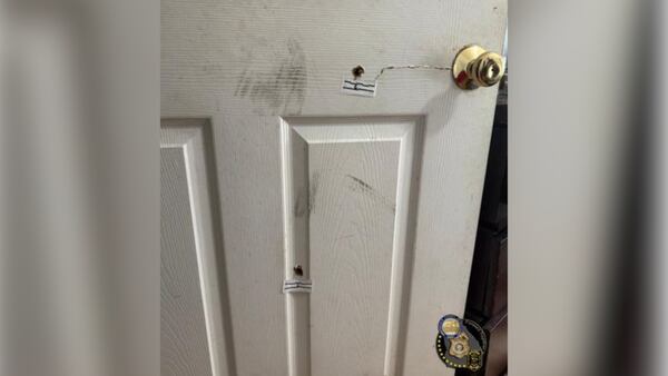 At least two bullets went through a door, injuring two officers who were responding to a domestic violence incident in DeKalb, police said. 
