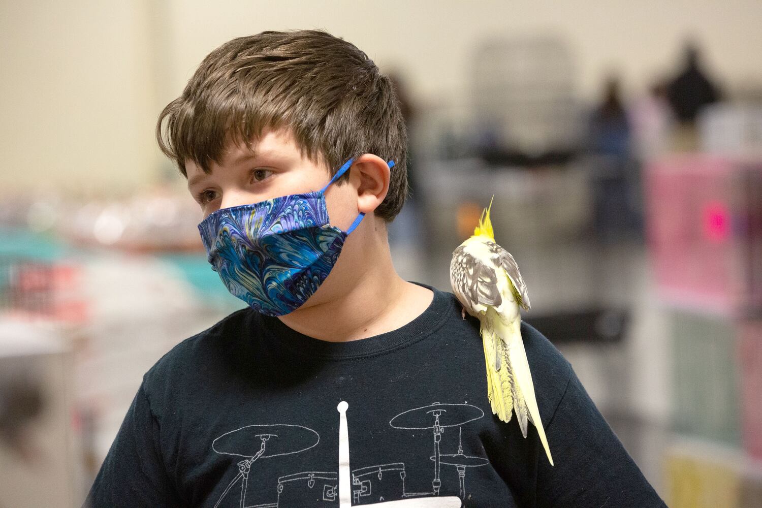 Southeast Exotic Bird Fair