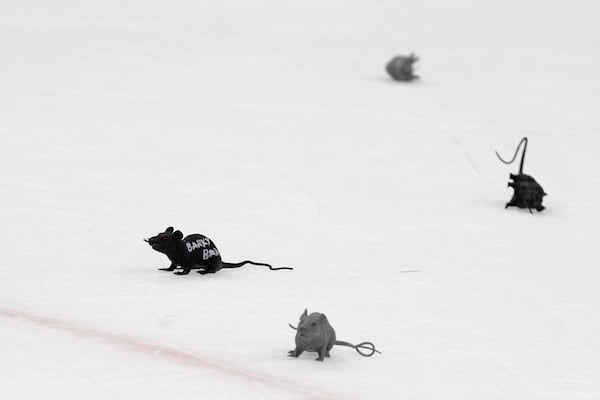 FILE - Plastic toy rats litter the ice after the Florida Panthers scored during the third period of Game 1 of the NHL hockey Stanley Cup Finals against the Edmonton Oilers, Saturday, June 8, 2024, in Sunrise, Fla. (AP Photo/Wilfredo Lee, File)