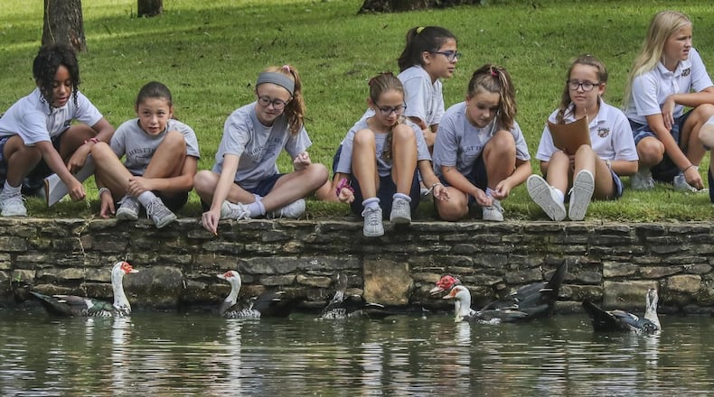 Taking in early-morning cool temperatures, fifth-graders from Christ the King School made a field trip Friday to the nearby lake known as the Duck Pond Park in Buckhead. Though the water fowl proved to be a distraction, the students’ science lessons focused on ecosystems while their social studies lesson looked at Lewis and Clark. Fall officially begins Saturday. JOHN SPINK / JSPINK@AJC.COM