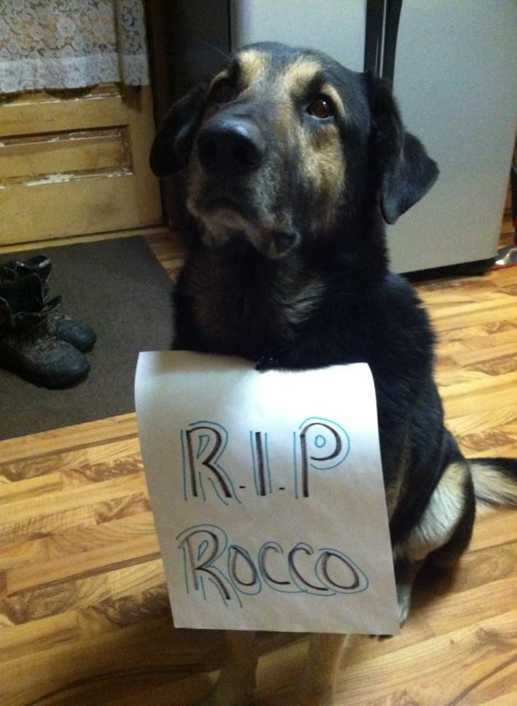 RIP Rocco