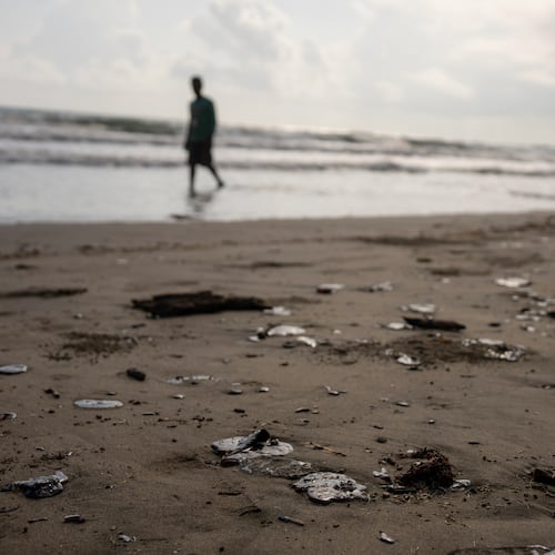 Clumps of oil residue lie on the shore after fishing outings were suspended because of an oil spill that Mexican authorities said originated from an unidentified vessel and two natural oil seeps along the Gulf coast in Salinas, Mexico, Thursday, March 26, 2026. (AP Photo/Felix Marquez)