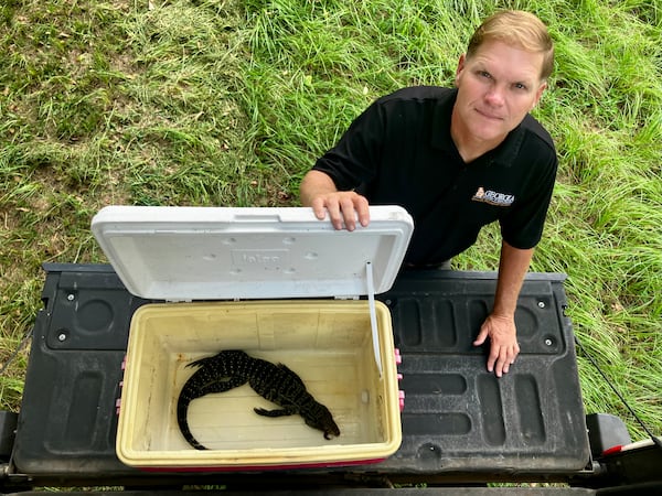 Jim Gillis, a supervisor for the state Department of Natural Resources in South Georgia, keeps a cooler handy to pick up dead tegus. State officials and residents in Tattnall and Toombs counties have killed about 50 of the invasive species. (Mark Davis for the AJC)