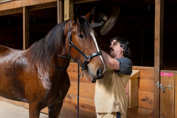 Detainee Joshua Arp works with Misty before he walks her out to the pasture at Violet F. Stout Park in Powder Springs. (Jason Getz/AJC)