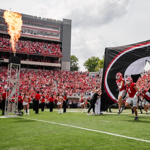 Progressive Insurance's logo will appear on Georgia's Dooley Field this season. (Tony Walsh/UGAAA 2025)