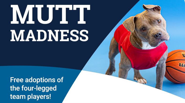 The Gwinnett Animal Shelter in Lawrenceville is waiving all animal adoptions through April 2 for “Mutt Madness.” (Courtesy Gwinnett Animal Shelter)