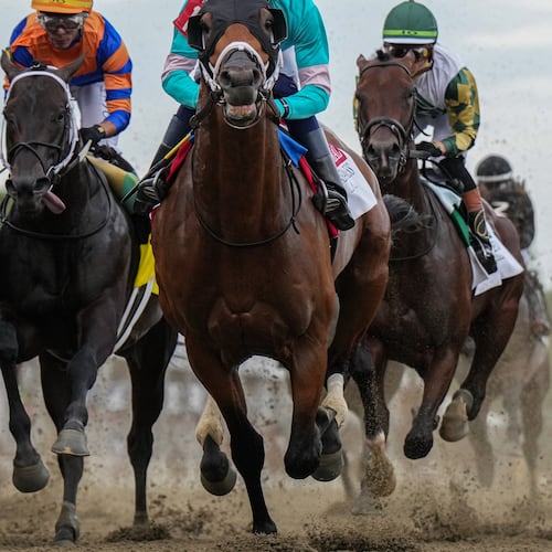 FILE - Taj Mahal and other horses compete during the 151st running of the Preakness Stakes horse race, May 16, 2026, at Laurel Park in Laurel, Md. (AP Photo/Julia Demaree Nikhinson, File)