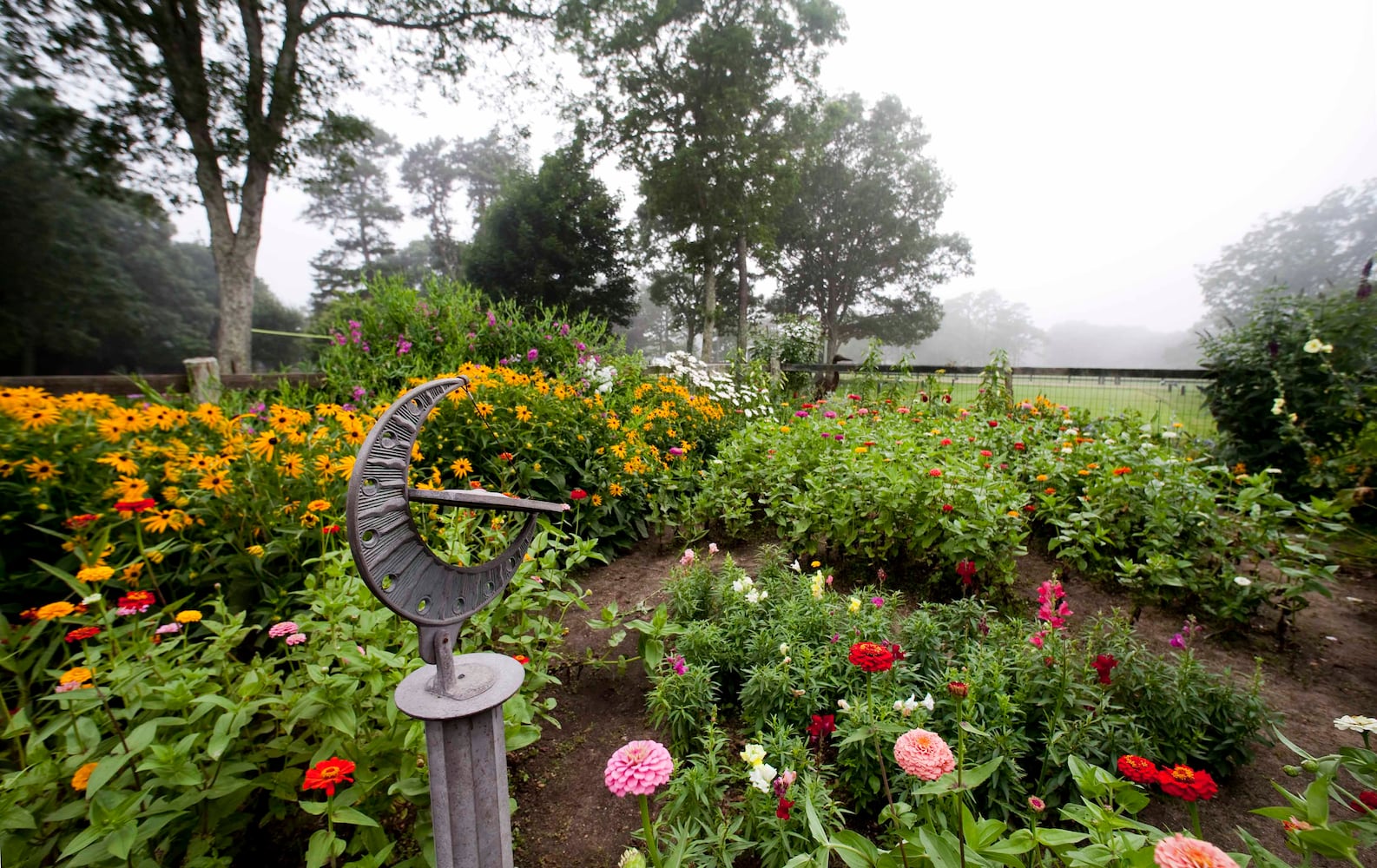 Family stayed at Blue Heron Farm in Martha's Vineyard in 2009-2011