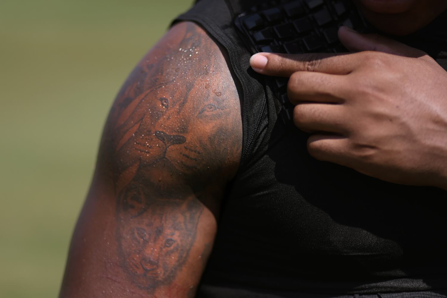 Atlanta Falcons Training Camp