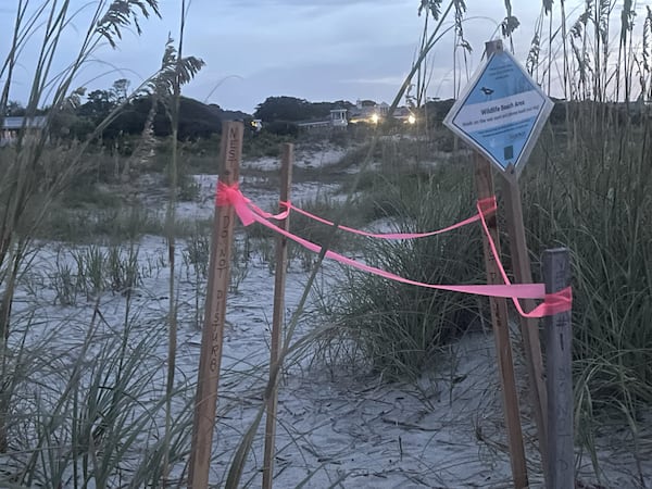 The glow from unshielded lights on homes and businesses on St. Simons Island can disrupt sea turtle nesting and cause hatchlings, who crawl toward the lowest, brightest horizon when they leave the nest, to become misoriented. Glynn County is working to update a beachfront lighting ordinance to balance private property ownership rights with protection of sea turtle habitats. (Courtesy of the St. Simons Island Sea Turtle Project and One Hundred Miles)
