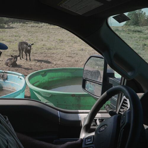 Scott Snyder checks to see how much water his cows have, July 16, 2026 near Montrose, Colo. (AP Photo/Brittany Peterson)