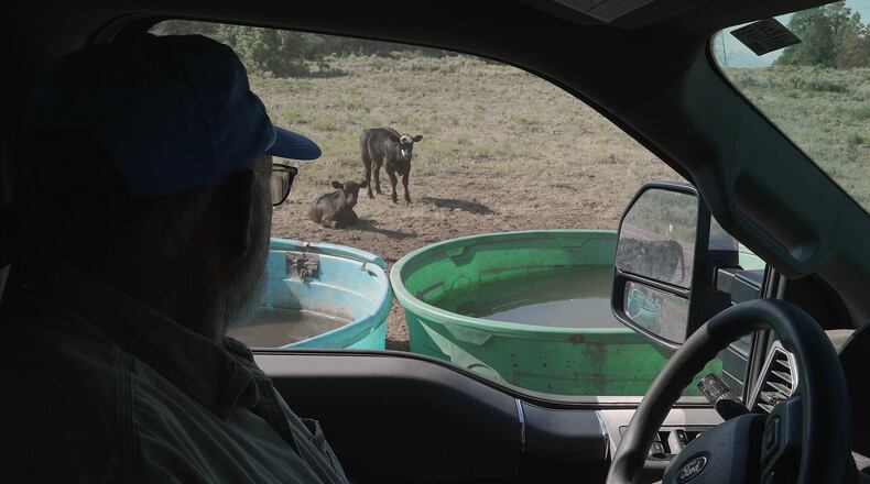 Scott Snyder checks to see how much water his cows have, July 16, 2026 near Montrose, Colo. (AP Photo/Brittany Peterson)