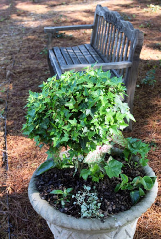 Arthur Blank's garden featured on tour