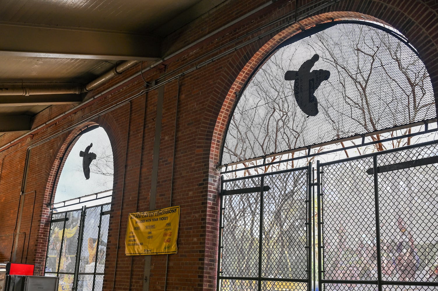 Grayson Stadium Anniversary