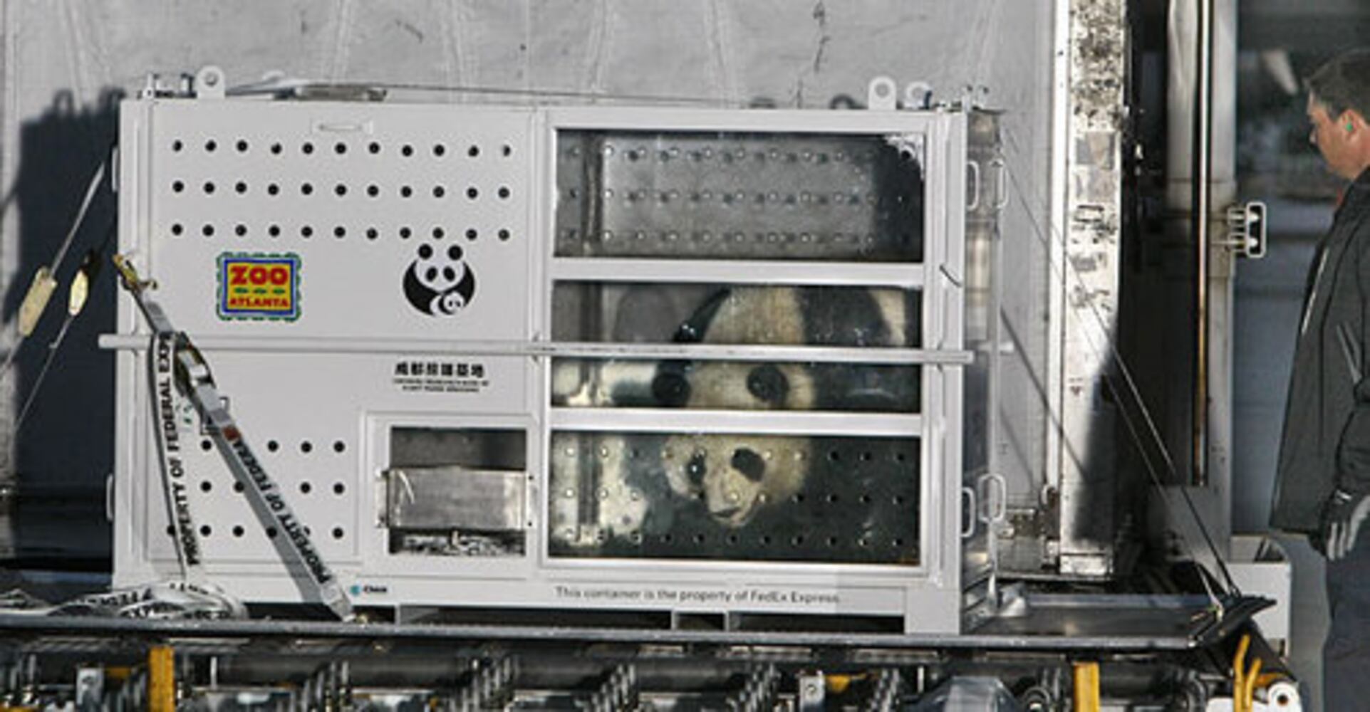Panda Mei Lan flies out of Atlanta