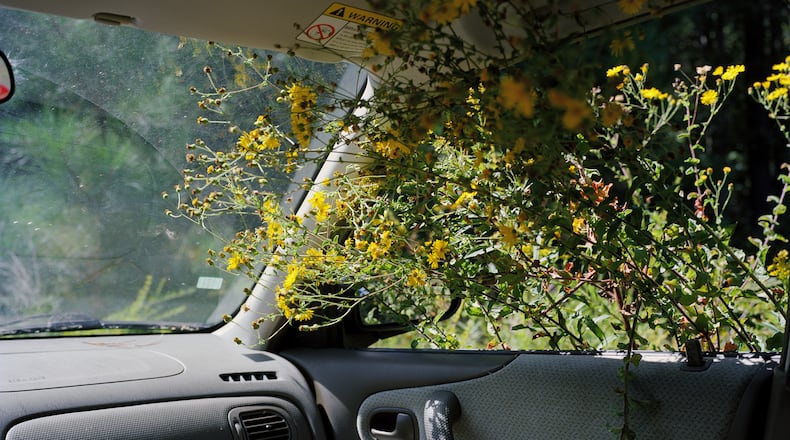 “Roadtrip,” (2014) by Georgia Rhodes.
(Courtesy of Georgia Museum of Art)