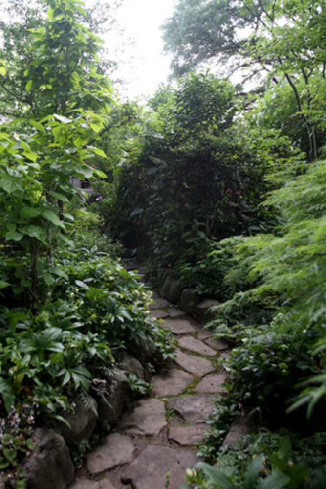 Linger in this Virginia-Highland garden