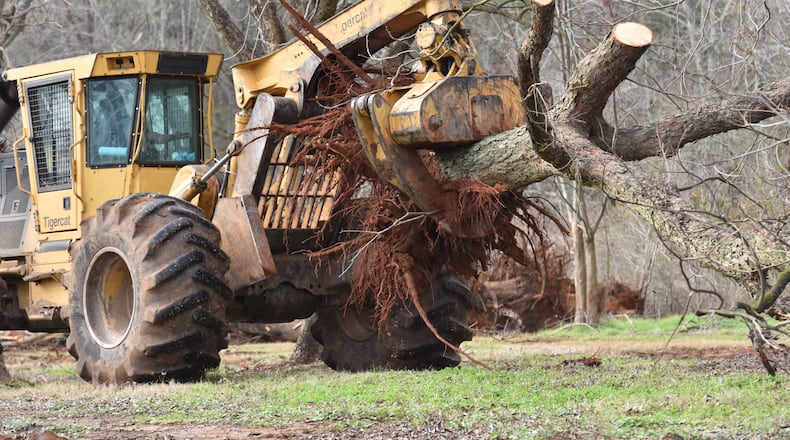A worker cleans up fallen pecan trees damaged by Hurricane Michael months earlier at Pippin Farm in Albany. HYOSUB SHIN / HSHIN@AJC.COM