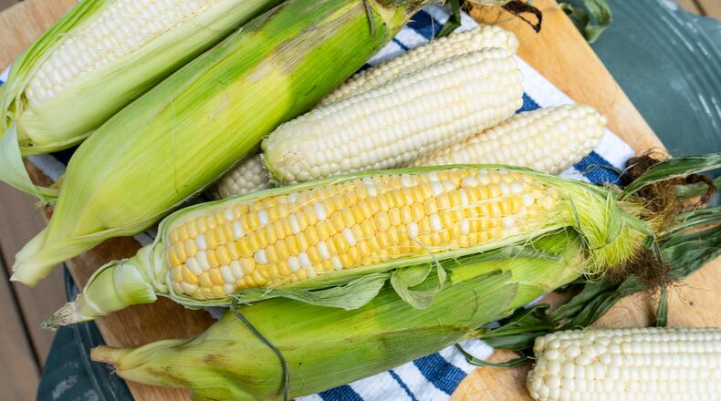 Late summer marks the end of the corn season. Chadwick Boyd for The Atlanta Journal-Constitution