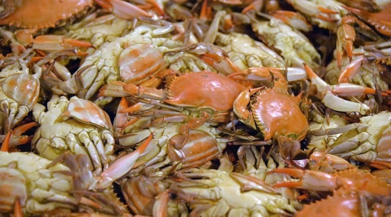 Wear your messy clothes because The Juicy Crab is coming to Kennesaw.