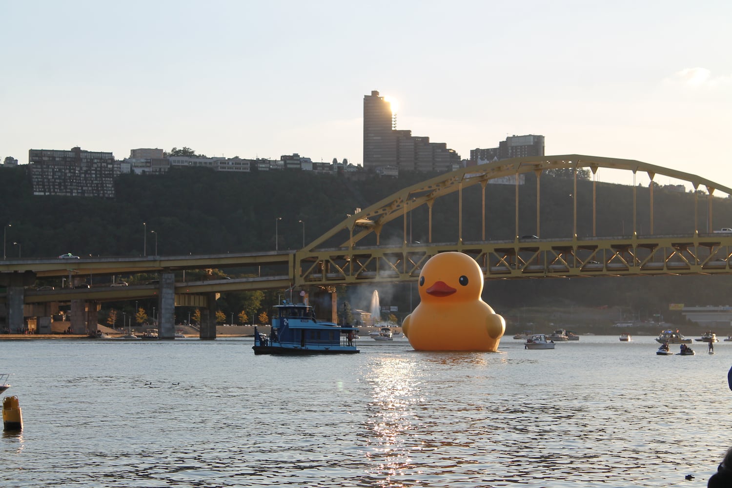 Rubber duck arrives in Pittsburgh